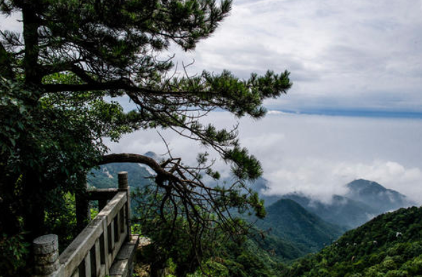 澳納森祝各位元旦節(jié)快樂，以后也要快快樂樂